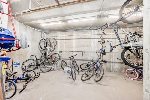 209-1000 Applevillage Court Se, Calgary, AB - Indoor Photo Showing Garage