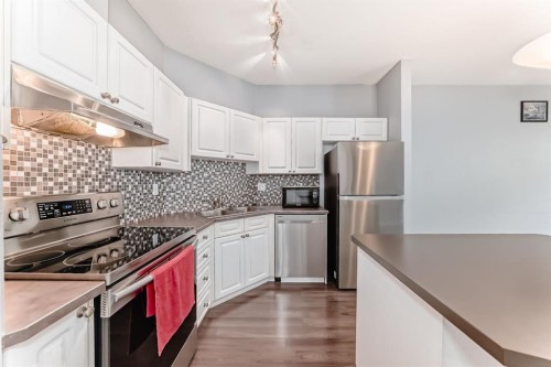 209-1000 Applevillage Court Se, Calgary, AB - Indoor Photo Showing Kitchen With Stainless Steel Kitchen With Upgraded Kitchen