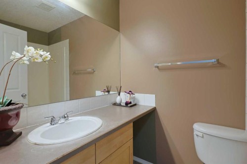 322 Country Village Cape Ne, Calgary, AB - Indoor Photo Showing Bathroom