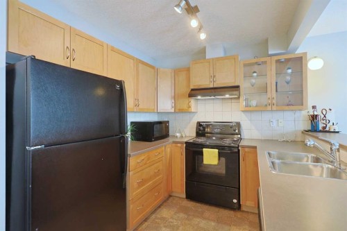 322 Country Village Cape Ne, Calgary, AB - Indoor Photo Showing Kitchen With Double Sink