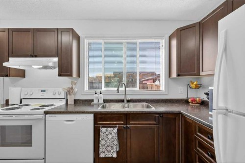 243 Redstone Drive Ne, Calgary, AB - Indoor Photo Showing Kitchen With Double Sink