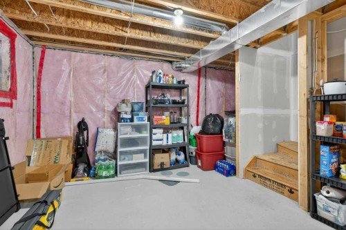 243 Redstone Drive Ne, Calgary, AB - Indoor Photo Showing Basement