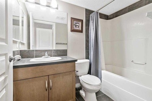 104-250 New Brighton Villas Se, Calgary, AB - Indoor Photo Showing Bathroom