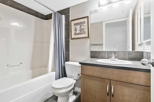 104-250 New Brighton Villas Se, Calgary, AB - Indoor Photo Showing Bathroom