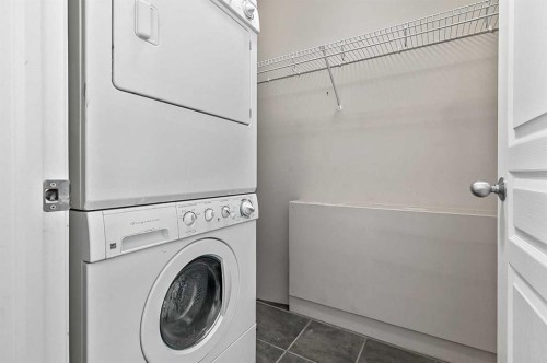 104-250 New Brighton Villas Se, Calgary, AB - Indoor Photo Showing Laundry Room