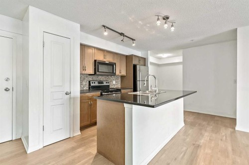 104-250 New Brighton Villas Se, Calgary, AB - Indoor Photo Showing Kitchen With Stainless Steel Kitchen