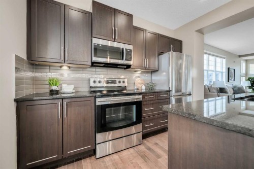 69 Skyview Point Common Ne, Calgary, AB - Indoor Photo Showing Kitchen With Upgraded Kitchen