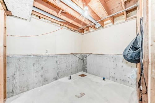 220 Haskayne Avenue, Gleichen, AB - Indoor Photo Showing Basement