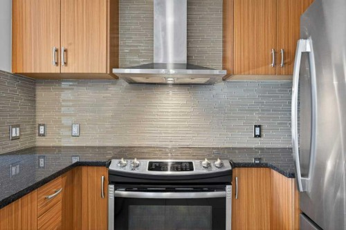 809-303 13 Avenue Sw, Calgary, AB - Indoor Photo Showing Kitchen With Stainless Steel Kitchen With Upgraded Kitchen