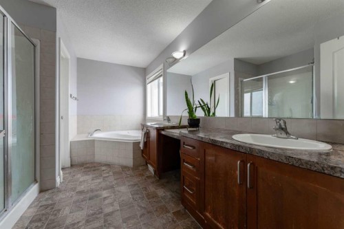 236 Willowmere Way, Chestermere, AB - Indoor Photo Showing Bathroom