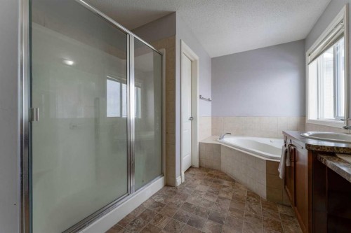 236 Willowmere Way, Chestermere, AB - Indoor Photo Showing Bathroom
