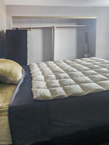 703-215 14 Avenue Sw, Calgary, AB - Indoor Photo Showing Bedroom