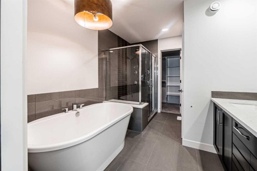 300 Savanna Way Ne, Calgary, AB - Indoor Photo Showing Bathroom