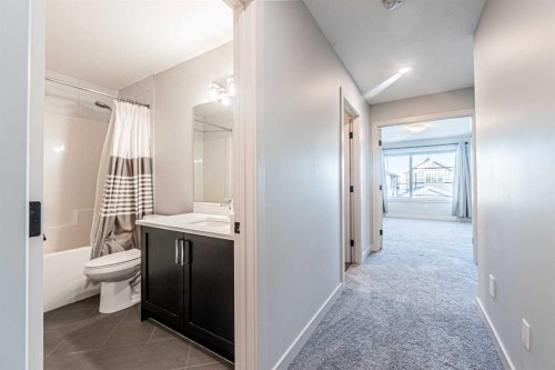 300 Savanna Way Ne, Calgary, AB - Indoor Photo Showing Bathroom