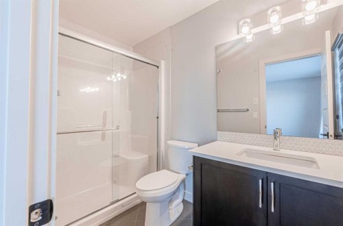 300 Savanna Way Ne, Calgary, AB - Indoor Photo Showing Bathroom