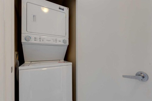101-320 12 Avenue Ne, Calgary, AB - Indoor Photo Showing Laundry Room