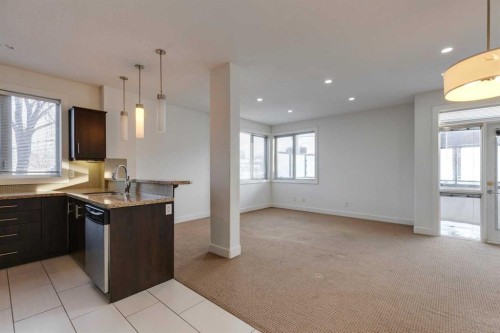 101-320 12 Avenue Ne, Calgary, AB - Indoor Photo Showing Kitchen