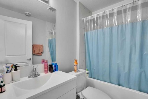 11018 Cityscape Drive Ne, Calgary, AB - Indoor Photo Showing Bathroom