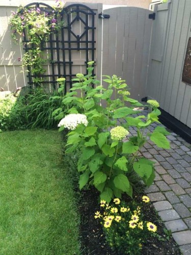 3449 Lane Crescent Sw, Calgary, AB - Outdoor