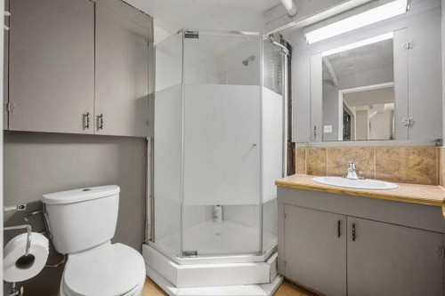 4704 Marbury Place Ne, Calgary, AB - Indoor Photo Showing Bathroom