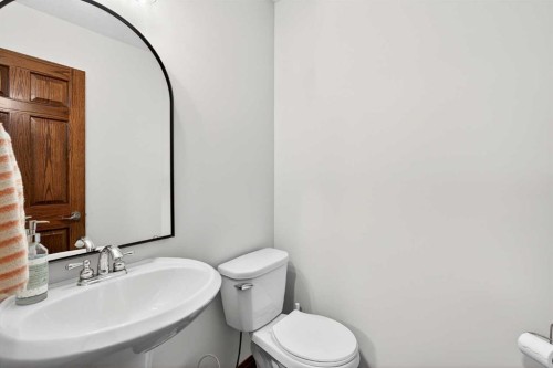 228 Sagewood Landing Sw, Airdrie, AB - Indoor Photo Showing Bathroom