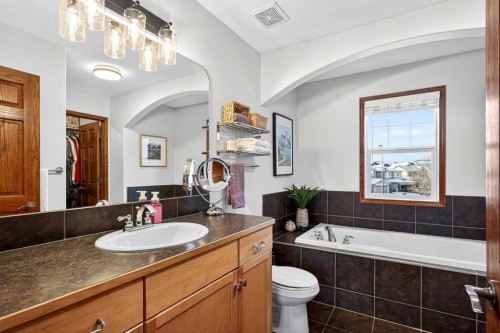 228 Sagewood Landing Sw, Airdrie, AB - Indoor Photo Showing Bathroom