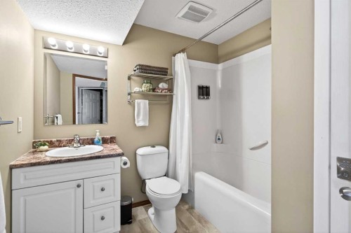 228 Sagewood Landing Sw, Airdrie, AB - Indoor Photo Showing Bathroom