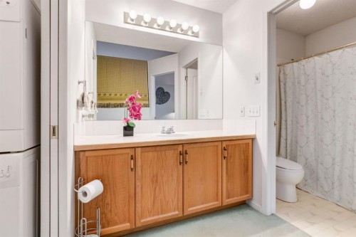809-1997 Sirocco Drive Sw, Calgary, AB - Indoor Photo Showing Bathroom