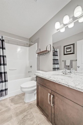 300 Marquis Heights Se, Calgary, AB - Indoor Photo Showing Bathroom