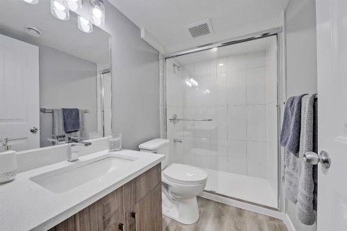300 Marquis Heights Se, Calgary, AB - Indoor Photo Showing Bathroom
