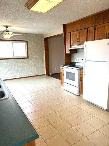 125 Big Springs Drive, Airdrie, AB - Indoor Photo Showing Kitchen