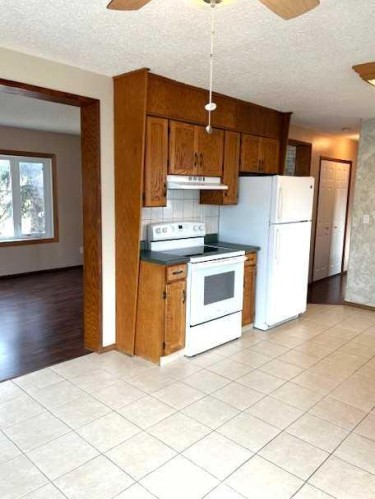 125 Big Springs Drive, Airdrie, AB - Indoor Photo Showing Kitchen