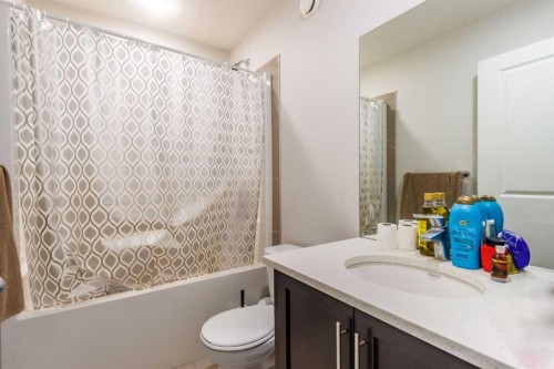 61 Savanna Link Ne, Calgary, AB - Indoor Photo Showing Bathroom