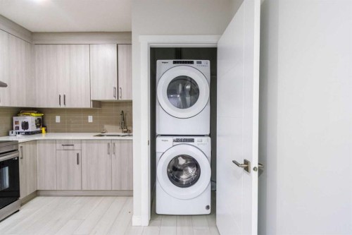61 Savanna Link Ne, Calgary, AB - Indoor Photo Showing Laundry Room
