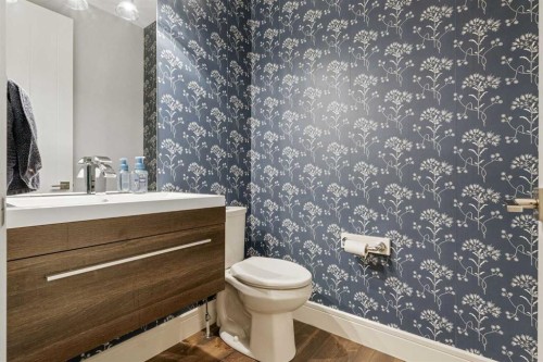 163 Masters Cove Se, Calgary, AB - Indoor Photo Showing Bathroom