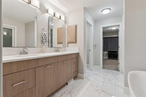 163 Masters Cove Se, Calgary, AB - Indoor Photo Showing Bathroom
