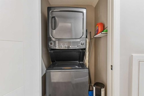 163 Masters Cove Se, Calgary, AB - Indoor Photo Showing Laundry Room