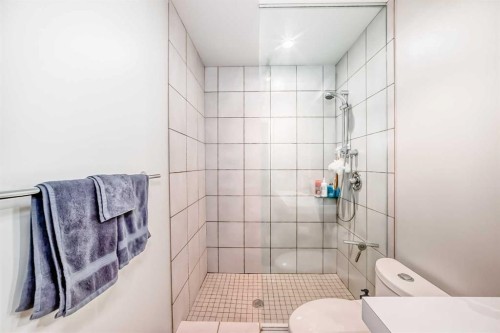 201-2124 17 Street, Calgary, AB - Indoor Photo Showing Bathroom