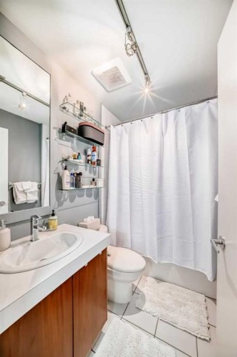 201-2124 17 Street, Calgary, AB - Indoor Photo Showing Bathroom
