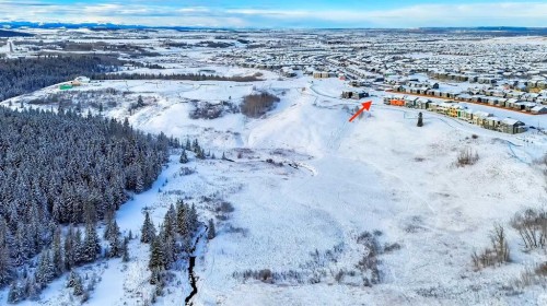57 Legacy Forest Heights Se, Calgary, AB - Outdoor With View
