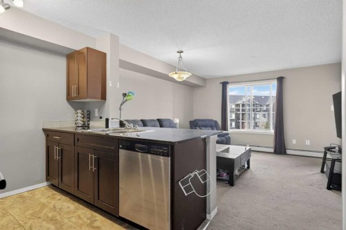 310-18122 77 Street Nw, Edmonton, AB - Indoor Photo Showing Kitchen With Double Sink
