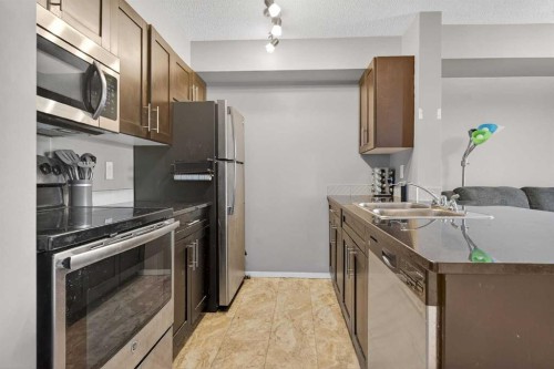 310-18122 77 Street Nw, Edmonton, AB - Indoor Photo Showing Kitchen With Double Sink