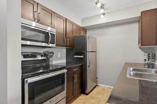 310-18122 77 Street Nw, Edmonton, AB - Indoor Photo Showing Kitchen With Double Sink