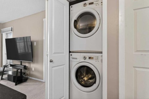 310-18122 77 Street Nw, Edmonton, AB - Indoor Photo Showing Laundry Room