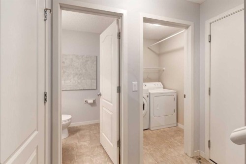 120 New Brighton Lane Se, Calgary, AB - Indoor Photo Showing Laundry Room