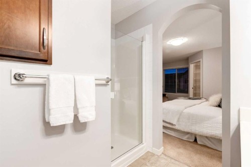 120 New Brighton Lane Se, Calgary, AB - Indoor Photo Showing Bathroom