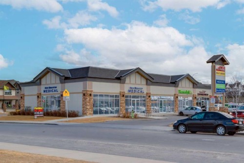 120 New Brighton Lane Se, Calgary, AB - Outdoor