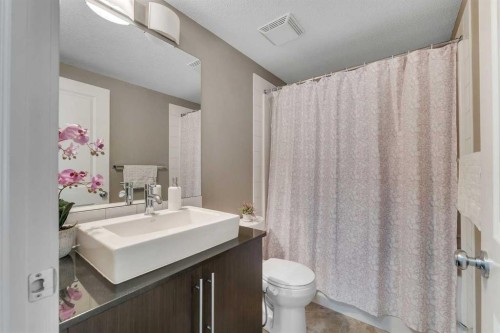 4209-155 Skyview Ranch Way Ne, Calgary, AB - Indoor Photo Showing Bathroom