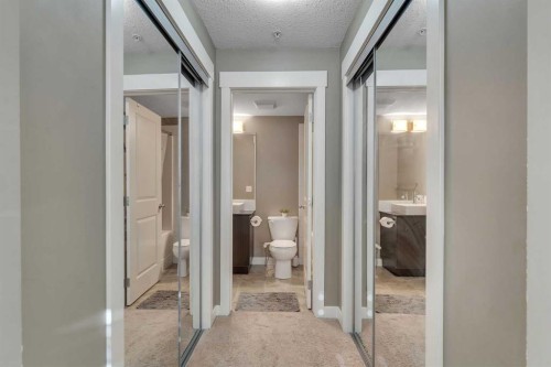 4209-155 Skyview Ranch Way Ne, Calgary, AB - Indoor Photo Showing Bathroom