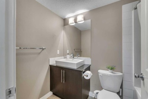 4209-155 Skyview Ranch Way Ne, Calgary, AB - Indoor Photo Showing Bathroom